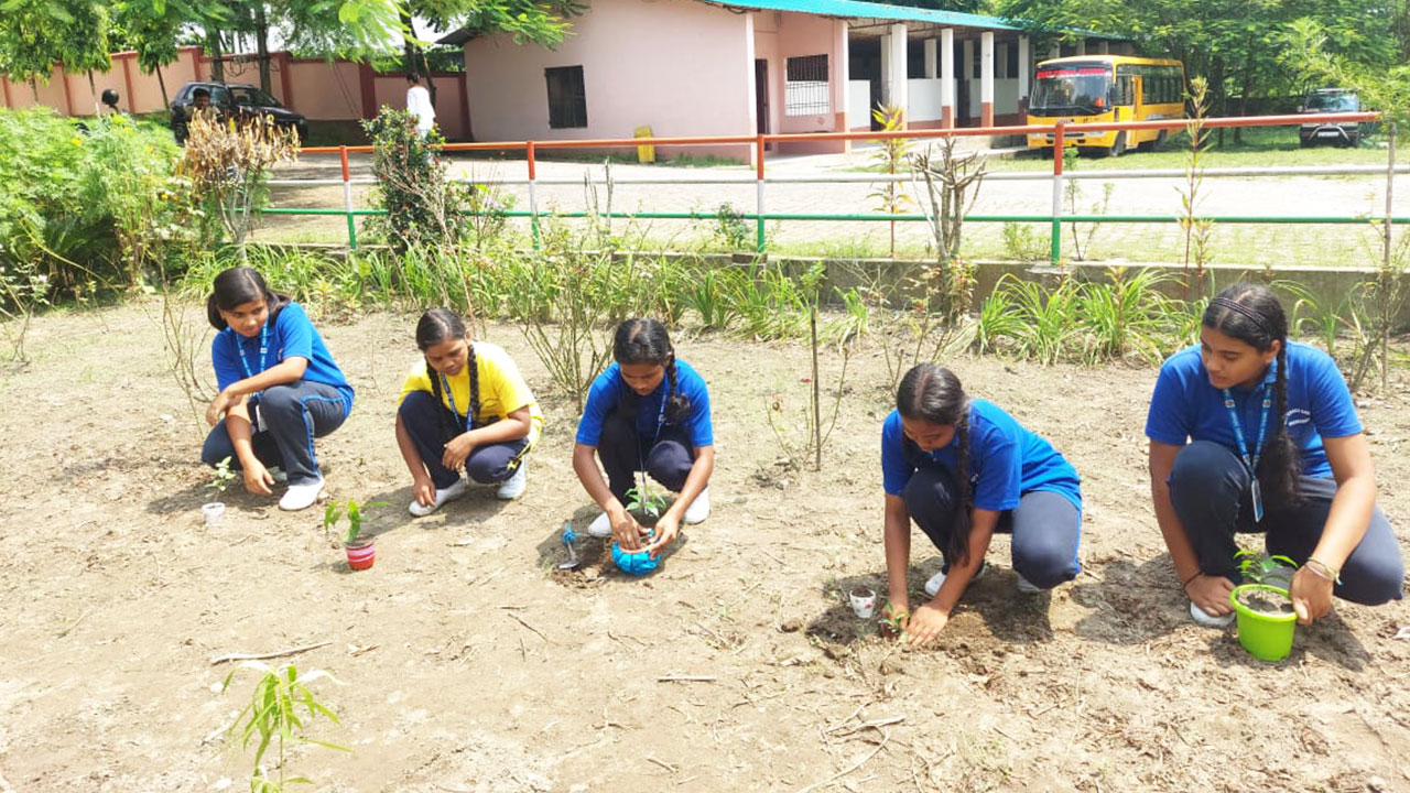 Tree Plantation - Holy Cross School, Rajganj